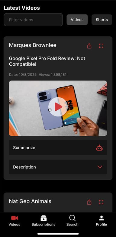 Chat with YouTube videos